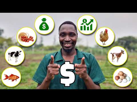 Видео: Я посетил 100 БОГАТЫХ ФЕРМЕРОВ: вот почему они добились успеха!