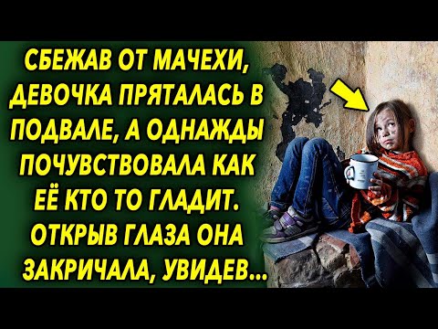 Видео: Нежданная Встреча. Истории из Жизни. Рассказы. Интересные Истории…
