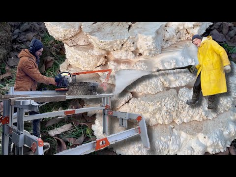 Видео: Что это? Дрова или шедевры из дерева?