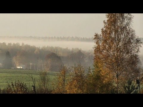 Видео: Доброе утро.😊