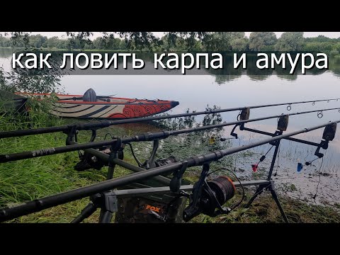 Видео: КАК ЛОВИТЬ РЕЧНОГО КАРПА И АМУРА \ КРАСИВОЕ ОТКРЫТИЕ СЕЗОНА / РЕКА ДНЕСТР 2023 \ как ловить карася .