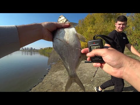 Видео: Рыбалка в городе 2021. Тура. Бабье лето в Тюмени.