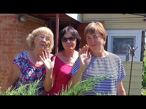 Видео: Дачная жизнь. В гостях у Валентины. Өскемен. Усть-Каменогорск. 04.07.2025.