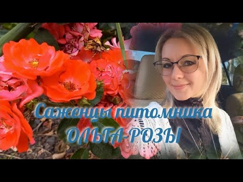 Видео: Vlog-194  В гостях у питомника Ольга-РОЗЫ, саженцы