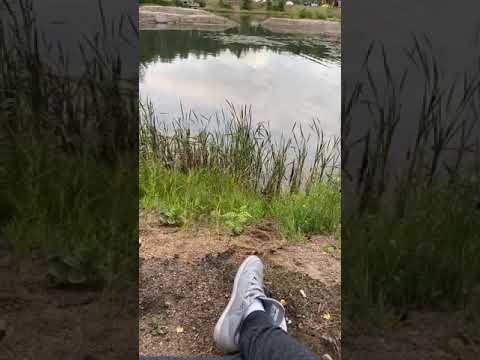 Видео: Кирилл Жандаров Прямой эфир 07.06.2020