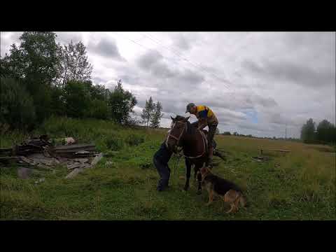 Видео: На велосипедах в Псков #6 День шестой, грейдерный