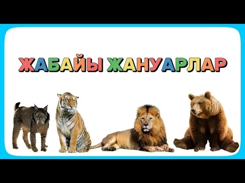 Видео: Жабайы жануарлар. Дикие животные. Жабайы жануарлар мен төлдері. Дикие животные на казахском.
