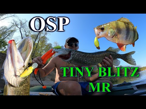 Видео: Крупный окунь и щука на OSP Tiny Blitz MR