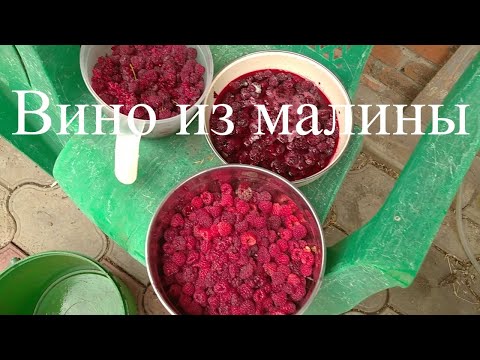 Видео: Малиновое вино,как сделать вино из малины,рецепт от А до Я.