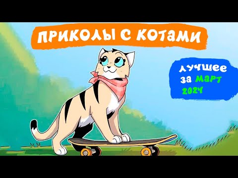 Видео: Приколы с котами. ЛУЧШЕЕ ЗА МАРТ 2024 | Мемозг