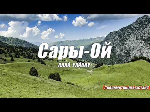 Видео: АЖАЙЫП САРЫ-ОЙ ЖАЙЛООСУ / Алай району.