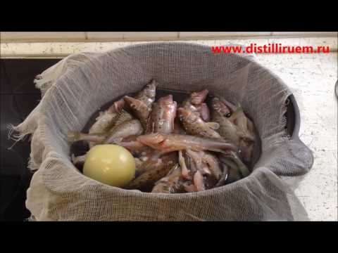 Видео: Рецепт ухи из Донского бирюка в казане