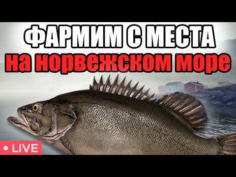 Видео: РР4 СТРИМ • ГДЕ ЛУЧШЕ ФАРМИТЬ НА МОРЕ • НОРВЕЖСКОЕ МОРЕ ФАРМ СЕРЕБРА •  РУССКАЯ РЫБАЛКА 4