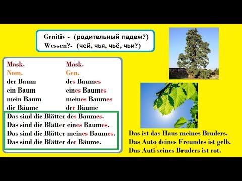 Видео: немецкий /родительный падеж в немецком языке на примерах