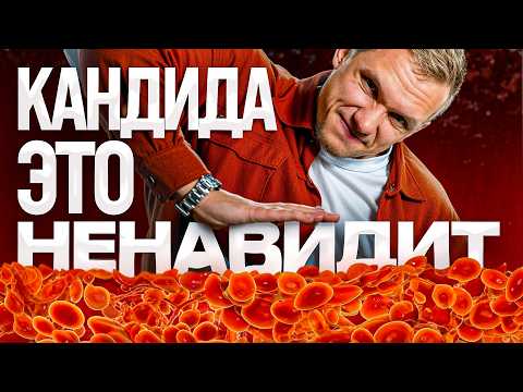 Видео: Убей кандиду едой – 4 продукта от кандидоза