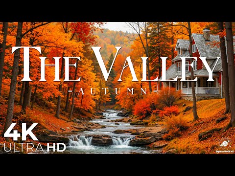 Видео: 🍂Долина 4K – Безмятежность золотой осени в потрясающем UHD🍁