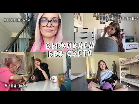 Видео: Моё предложение отклонили. Кира в шоке. Обновки для собак. Выживание.