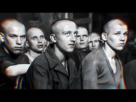 Видео: "КРАСНОГОРСКИЕ КОТЫ". Как ЛИКВИДИРОВАЛИ Последнюю ГРУППИРОВКУ Сталинской Эпохи