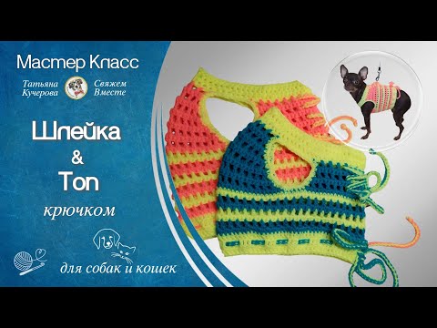 Видео: Крючком шлейка & топ для собак и кошек