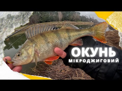 Видео: СУПЕРмікроджиг взимку. РИБАЛКА СПІНІНГОМ на ОКУНЯ в січні
