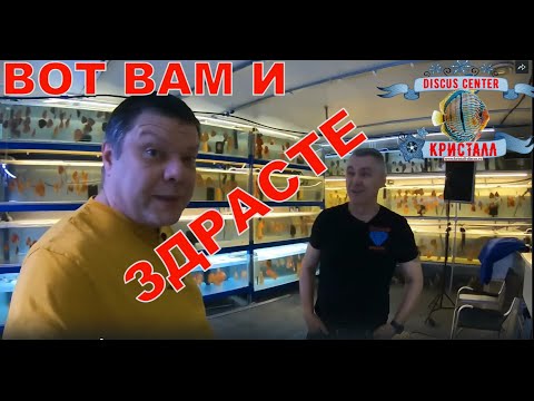 Видео: Русские аквариумы в гостях у Олега Филиппова "Discus center Кристалл".