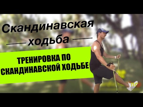 Видео: Тренировка по скандинавской ходьбе. Советы тренера с 12 летним опытом