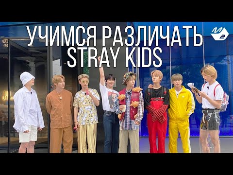 Видео: Учимся различать мемберов STRAY KIDS (часть 2) | Угадай мембера SK