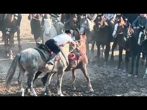 Видео: Жанторо93 Эр эниш 11 ноября 2025 г.