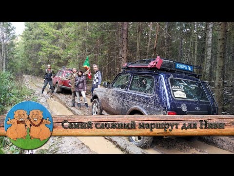 Видео: Самый сложный оффроад! Две стандартные Нивы на бездорожье в лесу по колее от Урала. Нива может!
