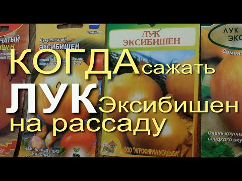 Видео: Выращивание Лука Эксибишен на Рассаду. Советы от Зеленого Огорода.