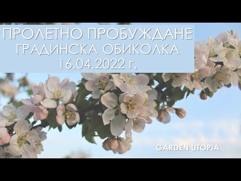 Видео: Обиколка на пролетната градина | 16.04.2022