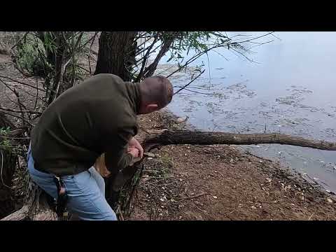 Видео: Велопоход июль 2024. Петров Вал-Новинки-Красный Яр-Котово-Камышин-Петров Вал