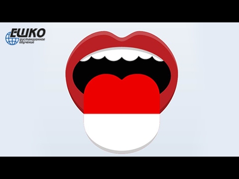 Видео: Употребление «ложных друзей» переводчика в польском языке. Часть І...