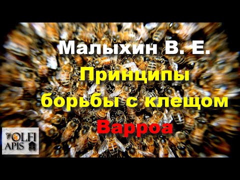 Видео: #Малыхин В. Е. Принципы борьбы с клещом Варроа