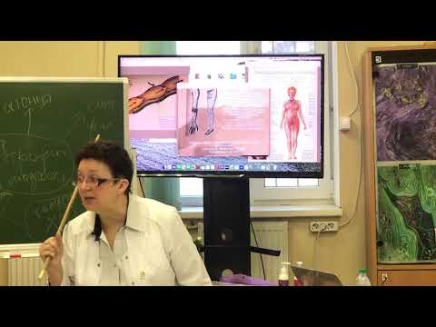 Видео: Как помочь мозгу не разрушить тело. История болезни.