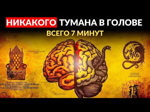 Видео: Опасный 7-Минутный Утренний Ритуал, Который Перенастраивает Твой Ум