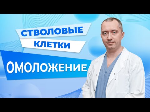 Видео: Стволовые клетки. День 2. Марафон "Секреты молодости"