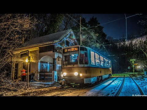 Видео: IN MOTION - Легендарният трамвай 10!
