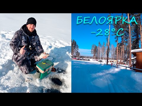 Видео: Белоярка. Погода -28°. Черемшанка. Душевный отдых. Зимняя рыбалка 2021.