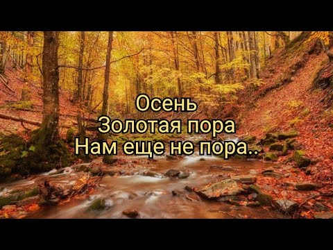 Видео: Осень. Золотая пора...