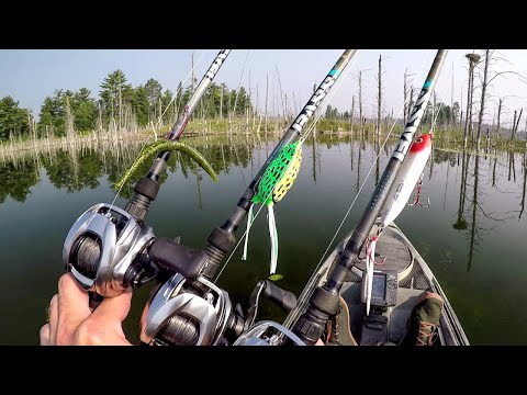 Видео: Рыбалка на новом озере всегда увлекательна!