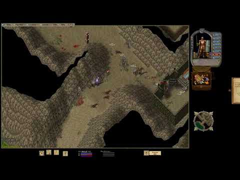 Видео: Ultima Online шард UORPG часть 2