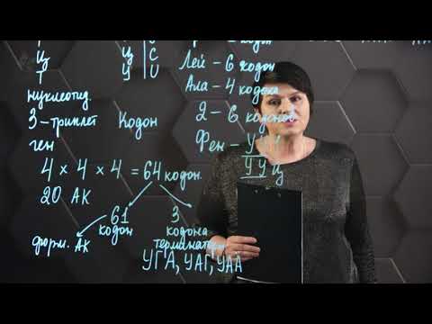 Видео: Генетический код. 11 класс.