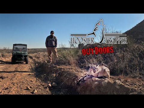 Видео: Hoosier Trapper Outdoors - S.14 Ep.5 - Рыси и койоты!