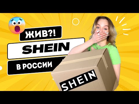 Видео: ОН ЖИВ?! ЗАКАЗАЛА И РАСПАКОВАЛА ВЕЩИ С SHEIN📦✨