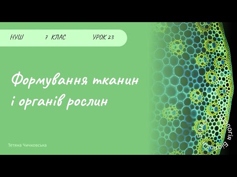 Видео: Формування тканин і органів рослин