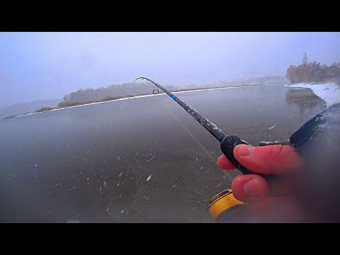 Видео: ТЕСТ НОВЕЙШЕЙ катушки SHIMANO SUSTAIN. ЩУКИ КЛЮЮТ В МЕТЕЛЬ. рыбалка на спиннинг