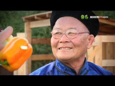 Видео: ЯЗЬ ПРОТИВ ЕДЫ Бурятия