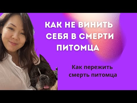 Видео: Как пережить утрату питомца? Как не винить себя в смерти питомца #утрата #питомцы #собака #вина
