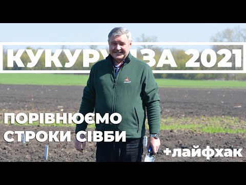 Видео: Порівнюємо строки сівби кукурудзи 10 і 20 квітня. Найкращий час для посіву 2021.